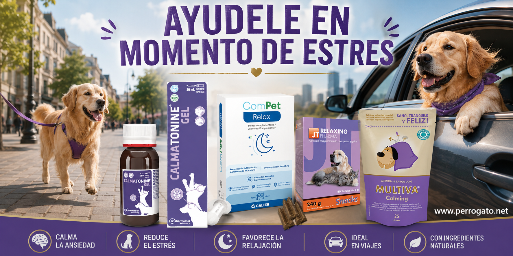 ANTIESTRES PARA VIAJES Y CAMBIOS